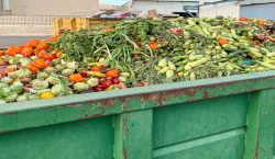 Food waste recycling
